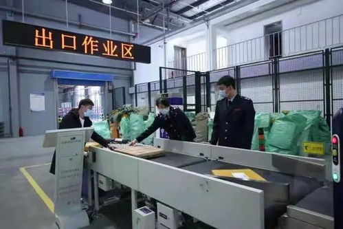 2020年琿春跨境電商一般出口商品貨值8.1億元，億企創(chuàng)助力地方經(jīng)濟(jì)騰飛